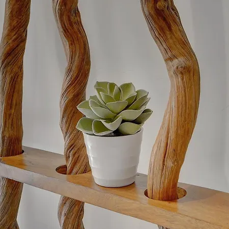 Magnifiques A 2 Pas Du Palais Διαμέρισμα