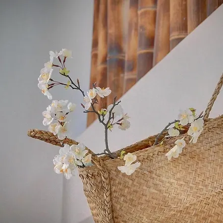 Διαμέρισμα Magnifiques A 2 Pas Du Palais *