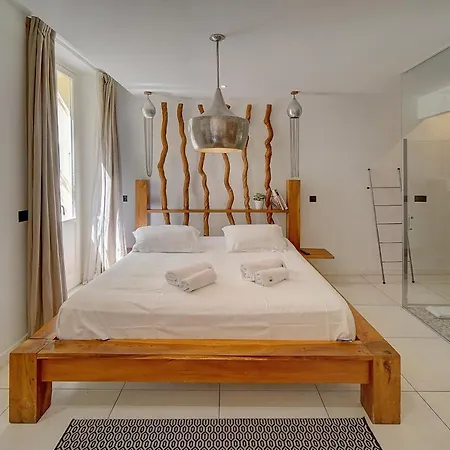 Magnifiques A 2 Pas Du Palais *