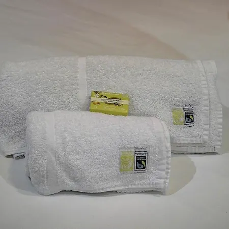 Magnifiques A 2 Pas Du Palais