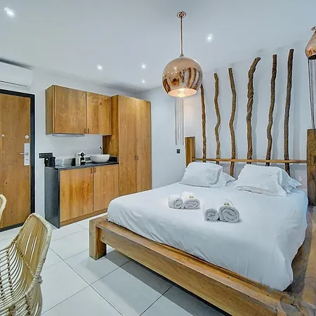 Magnifiques A 2 Pas Du Palais Κάννες